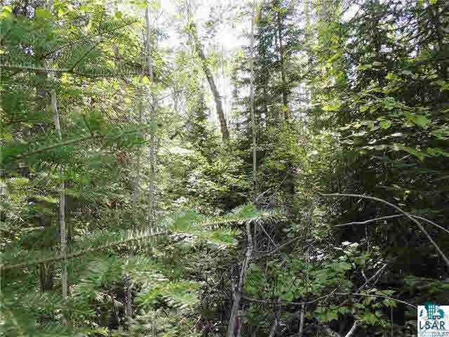 Lot 10 Roman's Road Grand Marais, MN 55604 - Photo 13 of 14 Gallery Image 13
