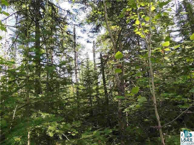 Lot 10 Roman's Road Grand Marais, MN 55604 - Photo 14 of 14 Gallery Image 14
