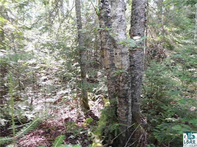 Lot 10 Roman's Road Grand Marais, MN 55604 - Photo 8 of 14 Gallery Image 8