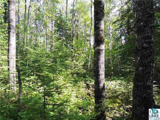 Lot 10 Roman's Road Grand Marais, MN 55604 - Photo 9 of 14 Gallery Image 9