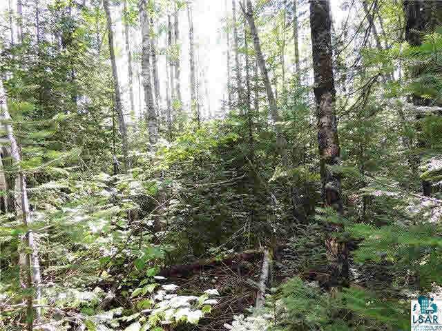 Lot 10 Roman's Road Grand Marais, MN 55604 - Photo 10 of 14 Gallery Image 10