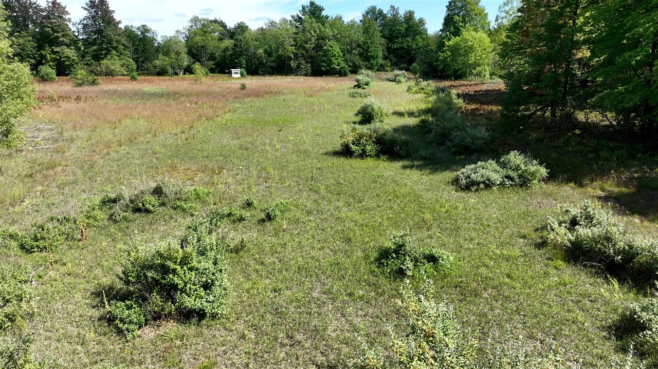 Wood Road Kalkaska, MI 49646 - Photo 2 of 14 Gallery Image 2