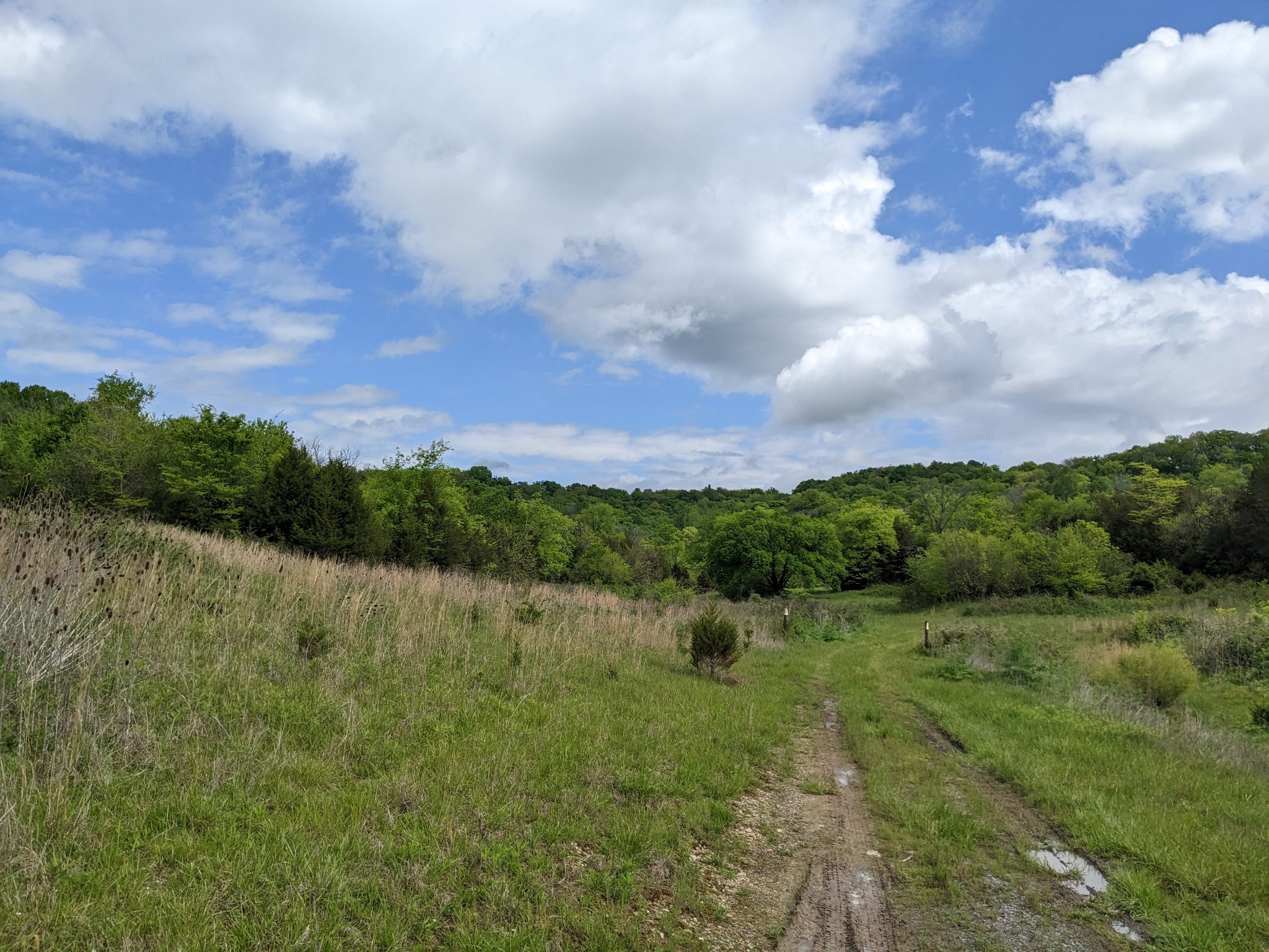 115 Cold Springs Road Fayetteville, TN 37334 - Photo 3 of 8 Beautiful building sites on this property.
