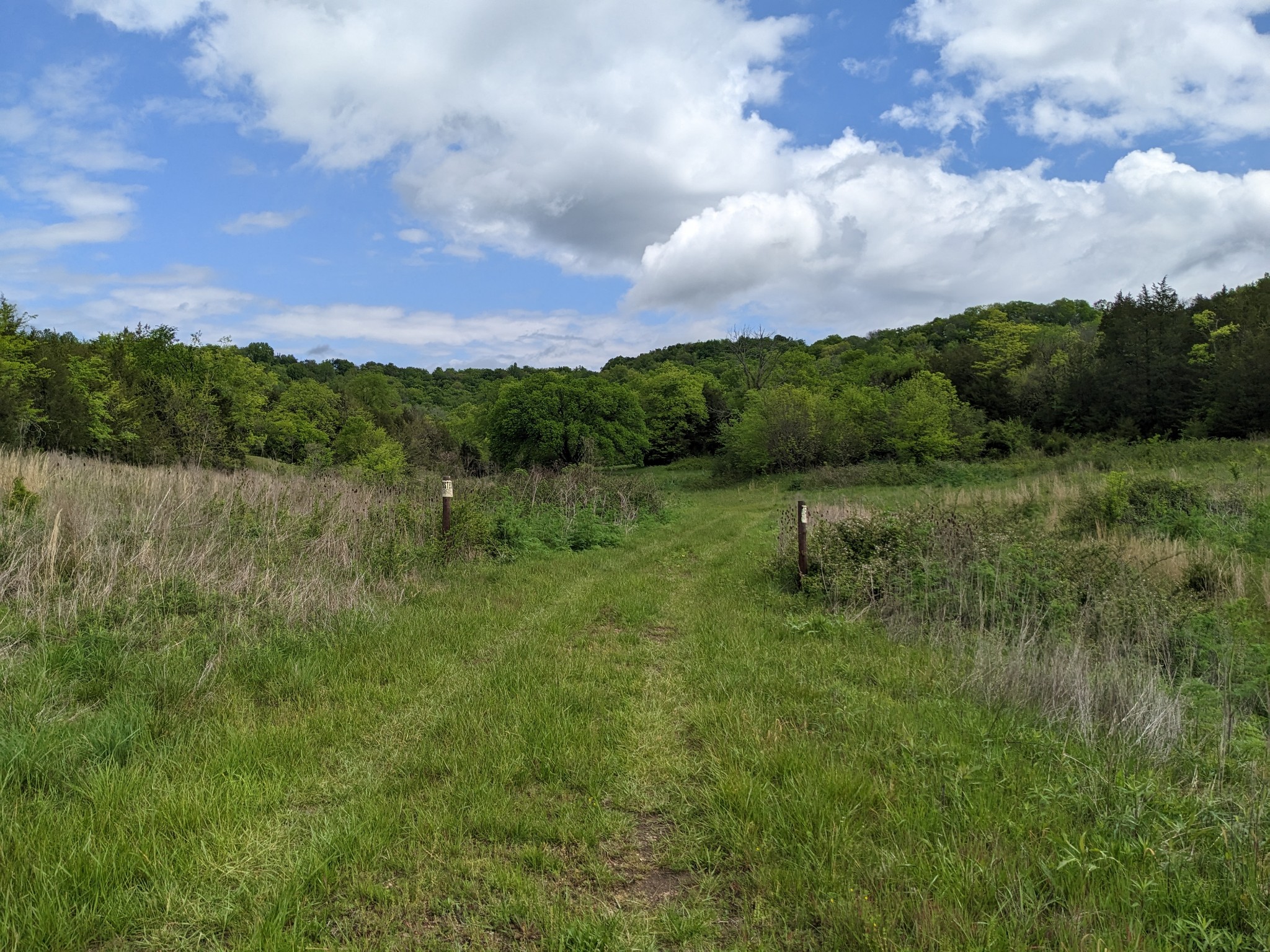 115 Cold Springs Road Fayetteville, TN 37334 - Photo 4 of 8 Picturesque property could be yours!