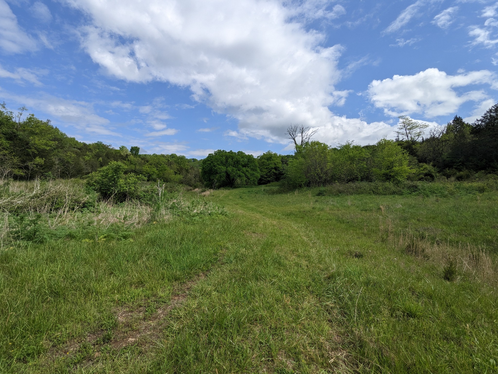 115 Cold Springs Road Fayetteville, TN 37334 - Photo 6 of 8 70 acres of Pretty!!