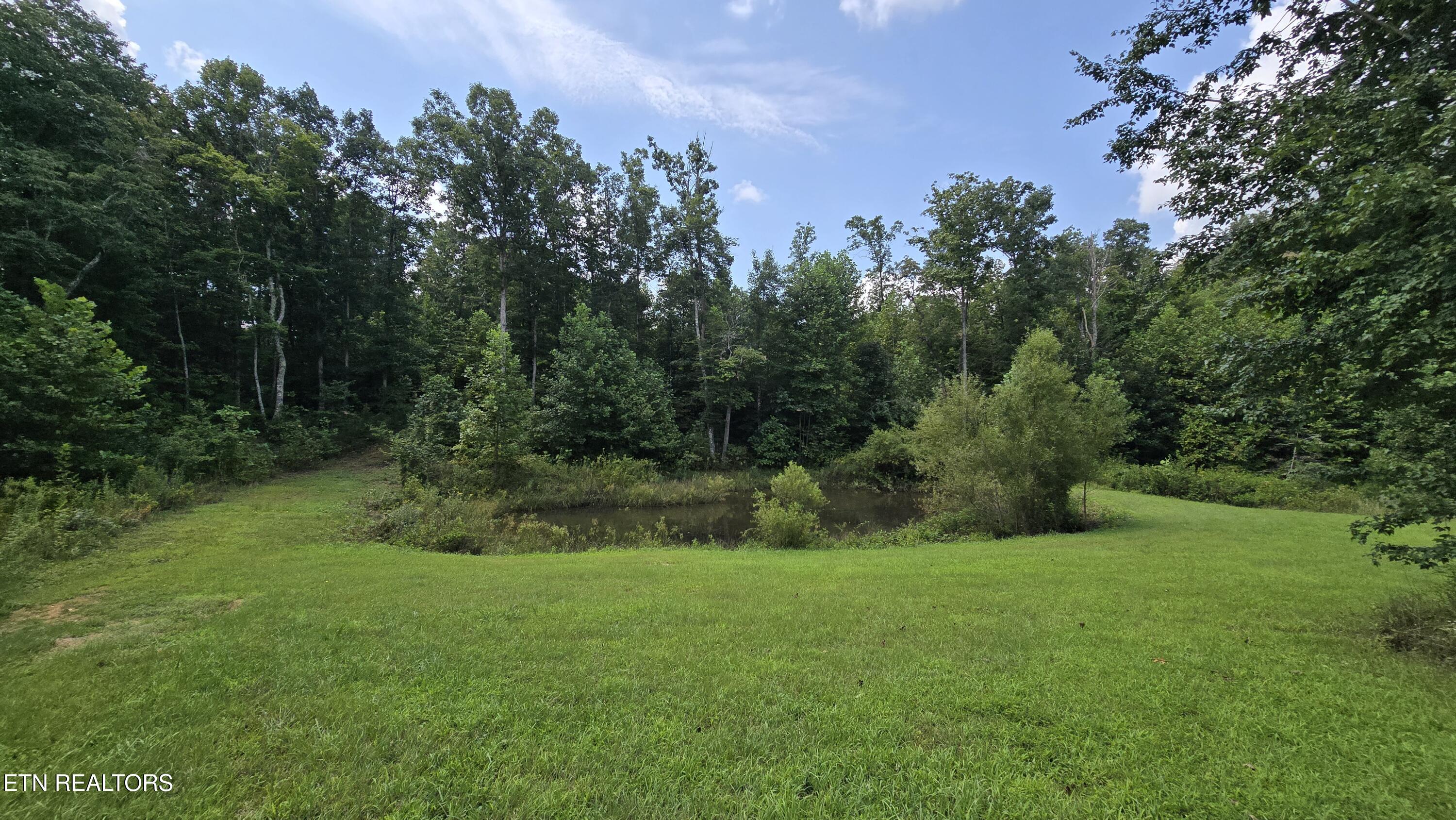 381 Grapevine Road Crossville, TN 38572 - Photo 11 of 25 20260811_110826