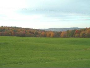 2283 Waits Road Owego, NY 13827 - Photo 5 of 6