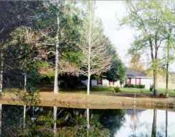 74256 Airport Road Covington, LA 70435 - Photo 1 of 1 Gallery Image 1