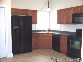 1521 South 8th Street Springfield, IL 62703 - Photo 3 of 12