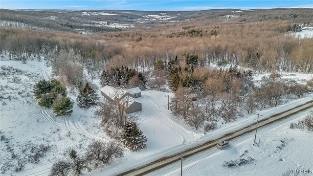 $529,000 | 8425 Rohr Hill Road, East Otto, NY 14729