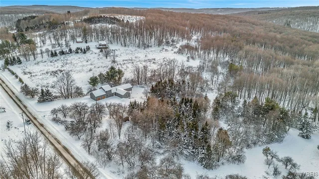$529,000 | 8425 Rohr Hill Road, East Otto, NY 14729