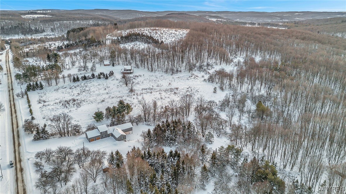 8425 Rohr Hill Road East Otto, NY 14729 - Photo 48 of 50