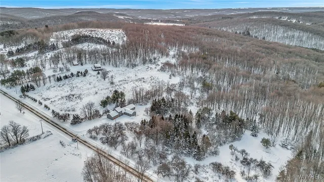 $529,000 | 8425 Rohr Hill Road, East Otto, NY 14729