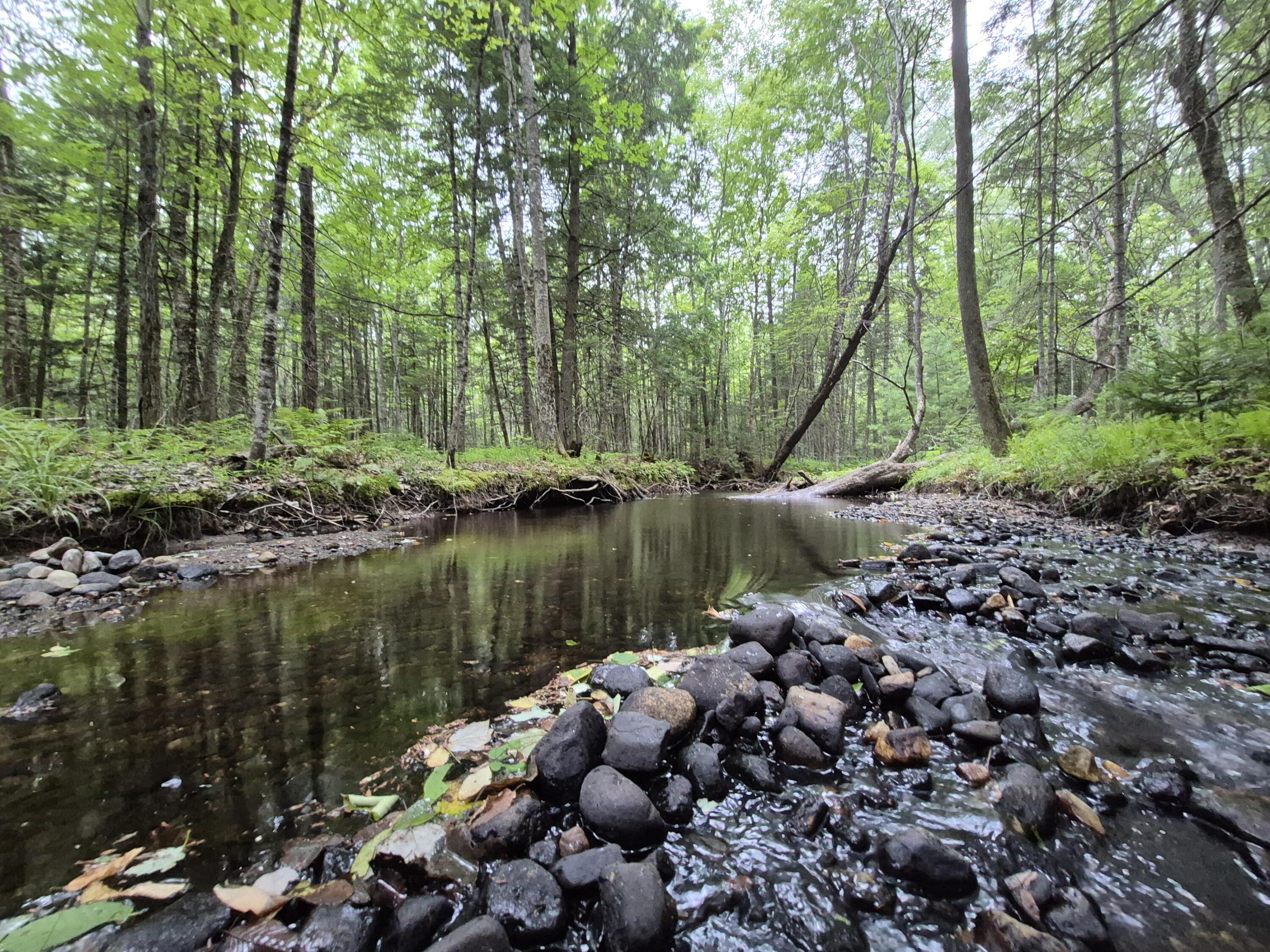 21 Mill Hill Road Hanover, ME 04237 - Photo 12 of 20 10