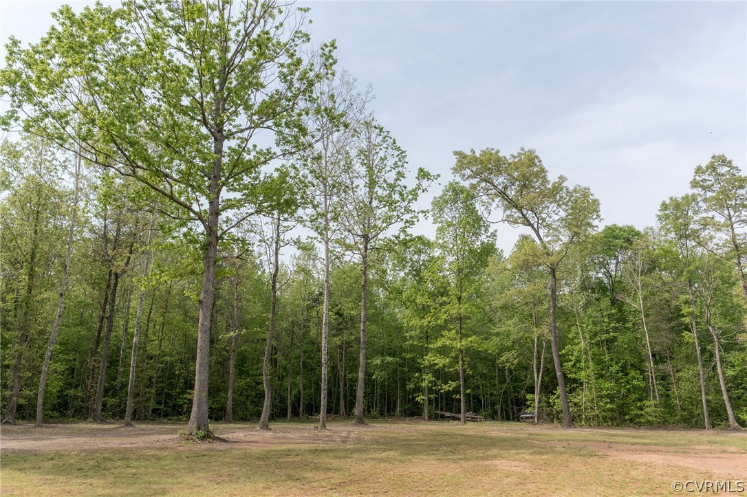 20821 Beaver Dam Road Beaverdam, VA 23015 - Photo 8 of 50 Gallery Image 8