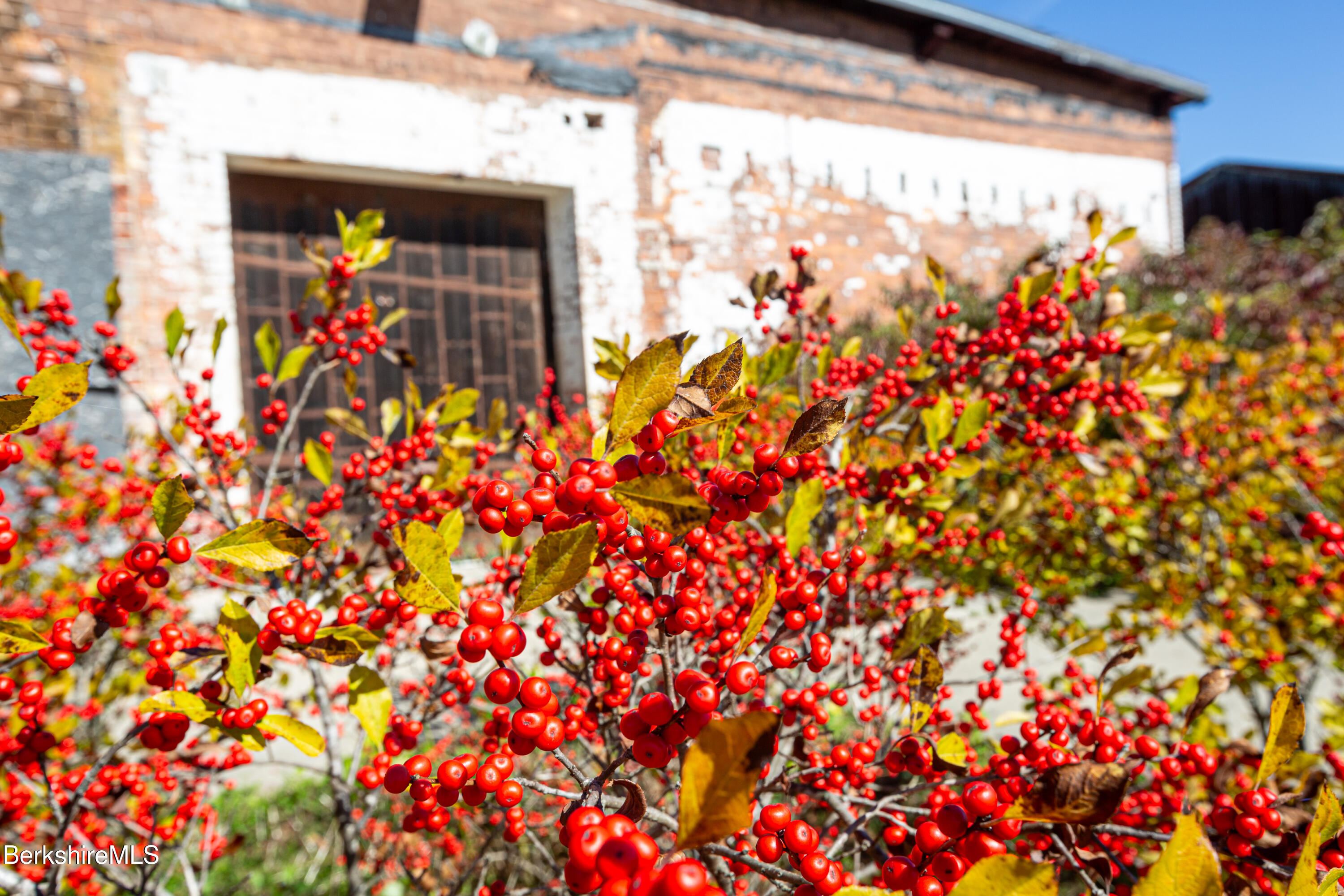 520 State Road, Unit 305 North Adams, MA 01247 - Photo 20 of 27 Exterior Spaces