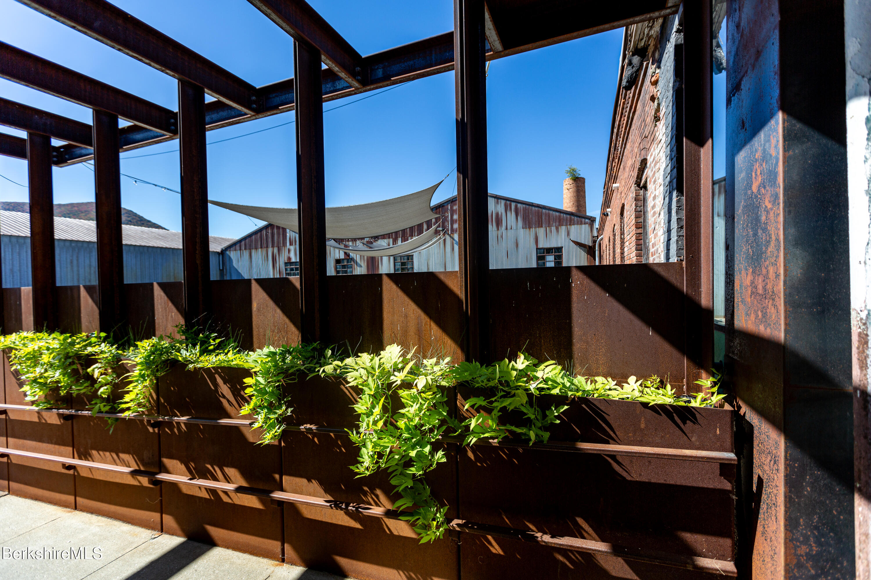 520 State Road, Unit 305 North Adams, MA 01247 - Photo 25 of 27 a view of a flower in a yard