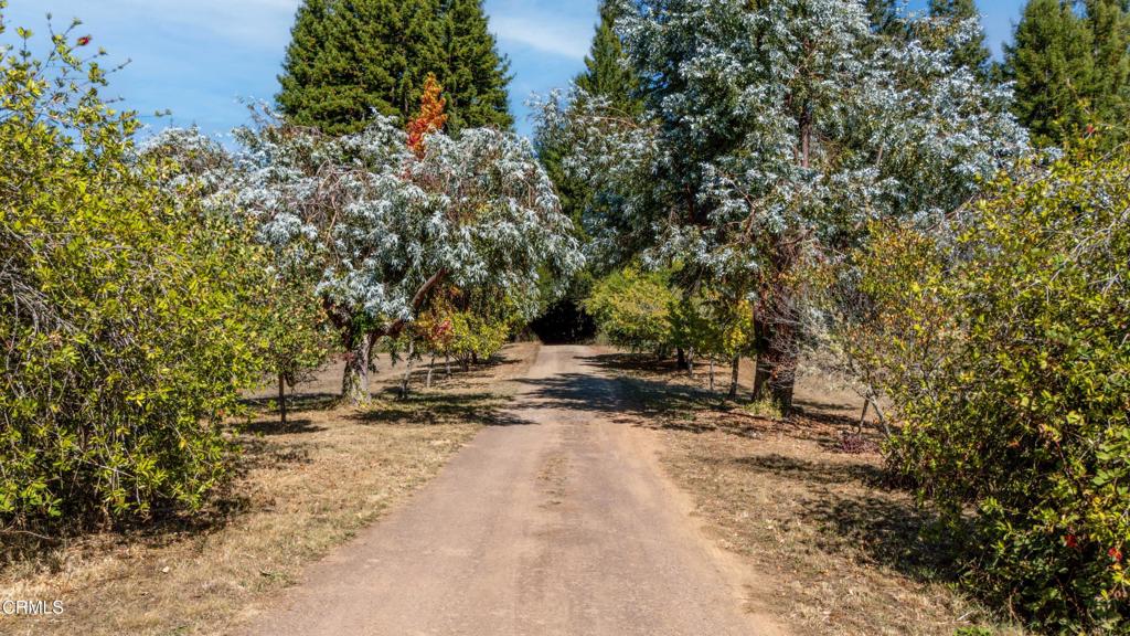 28580 Comptche Ukiah Road Comptche, CA 95427 - Photo 11 of 56 a view of outdoor space with trees