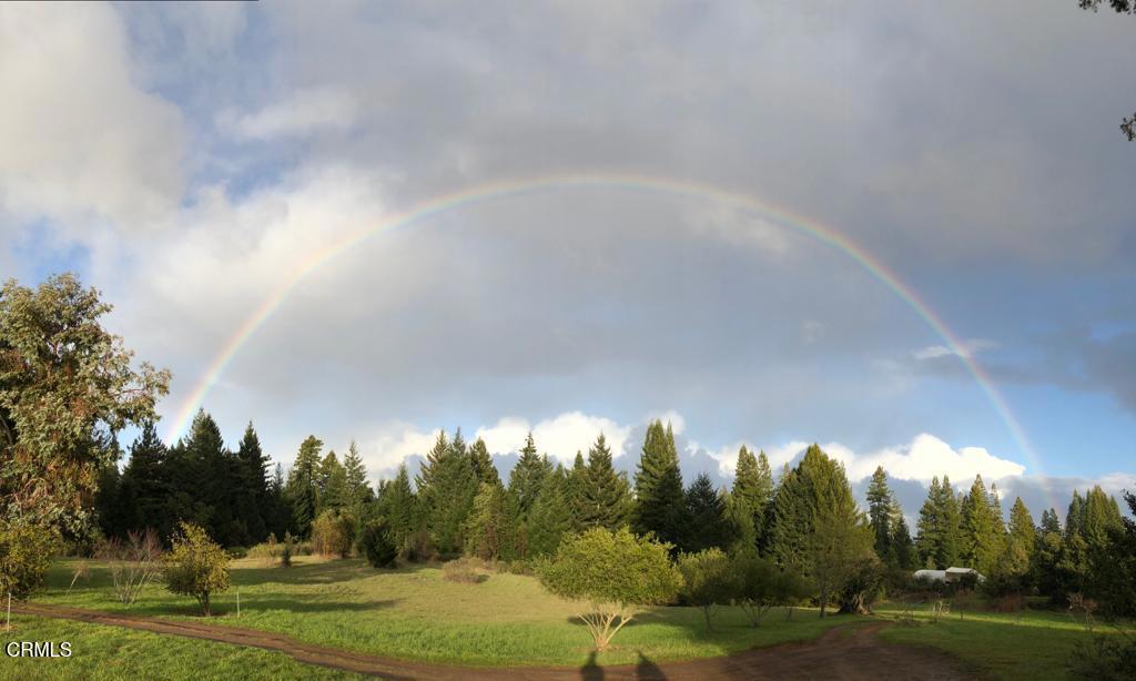 28580 Comptche Ukiah Road Comptche, CA 95427 - Photo 19 of 56 a view of a big yard