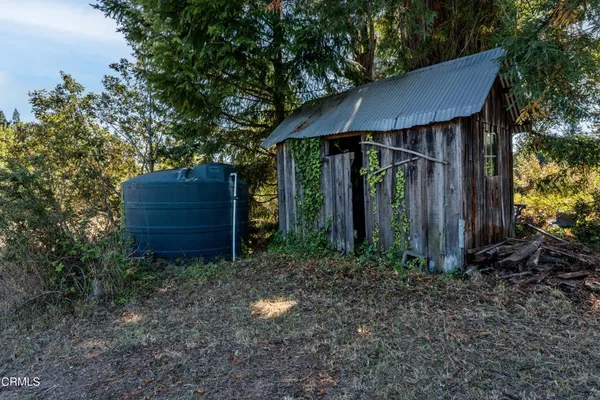a view of a bunch of trees and bushes