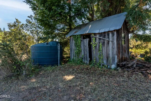 a view of a bunch of trees and bushes