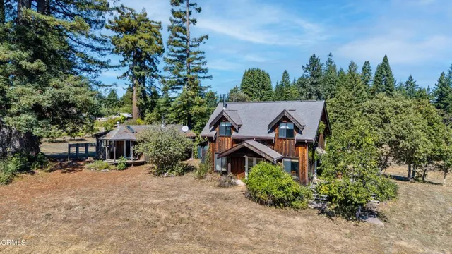 a view of a backyard with plants