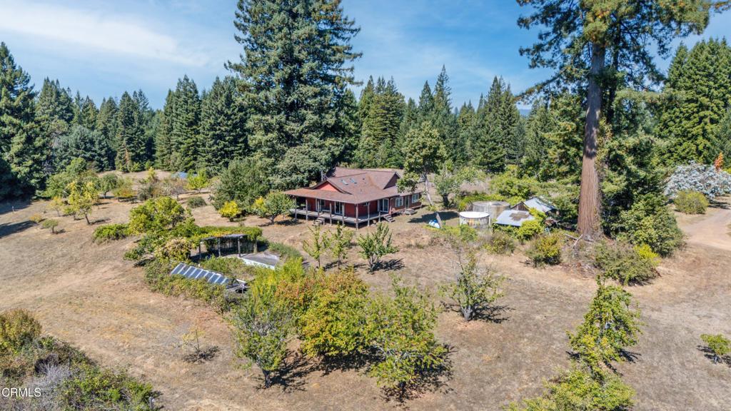 28580 Comptche Ukiah Road Comptche, CA 95427 - Photo 51 of 56 a view of a garden with a bench