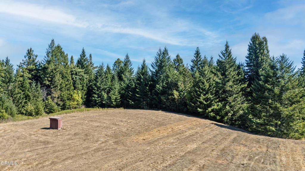 28580 Comptche Ukiah Road Comptche, CA 95427 - Photo 9 of 56 Land