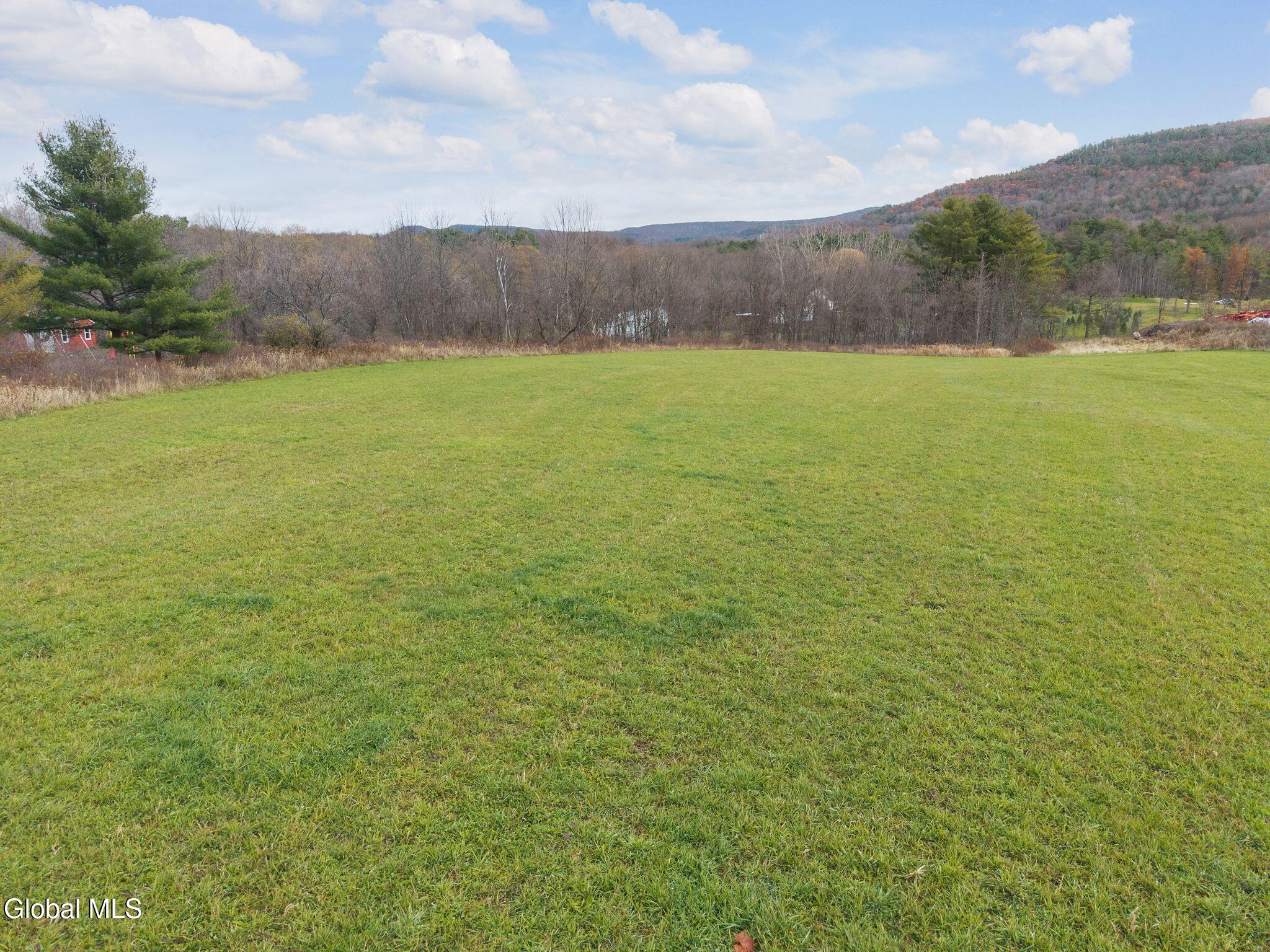 30 Middleburgh Ny 12157 Broadalbin, NY 12025 - Photo 3 of 6 4-4956NY-30_land_04