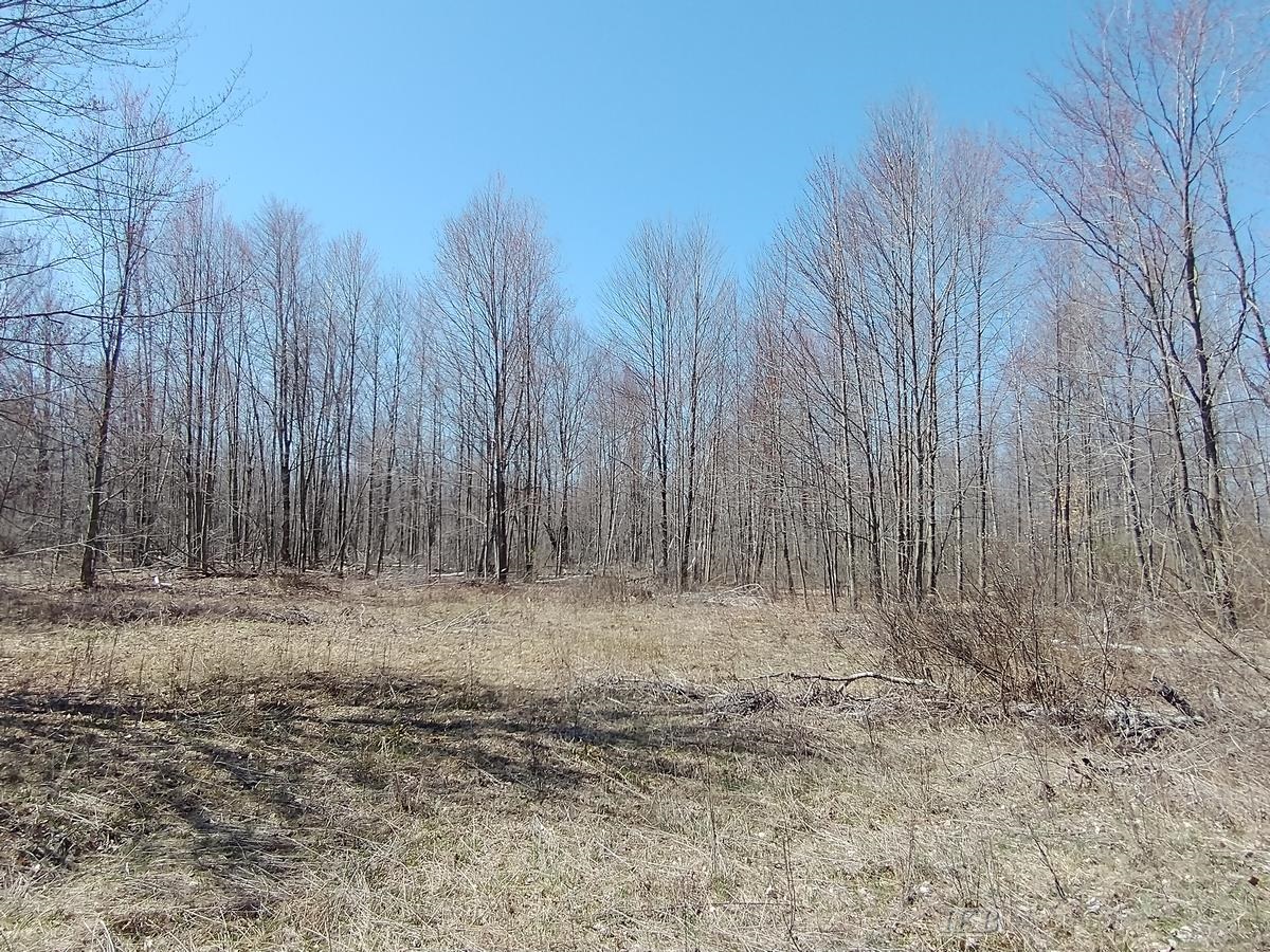 515 South Hawkins Road Gladwin, MI 48624 - Photo 32 of 45 Gallery Image 32