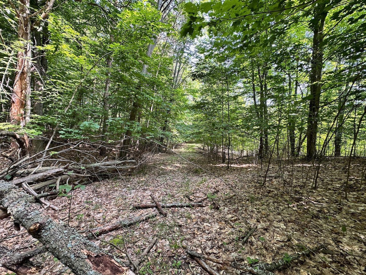 0 John R Rodgers Road Bellaire, MI 49615 - Photo 12 of 25