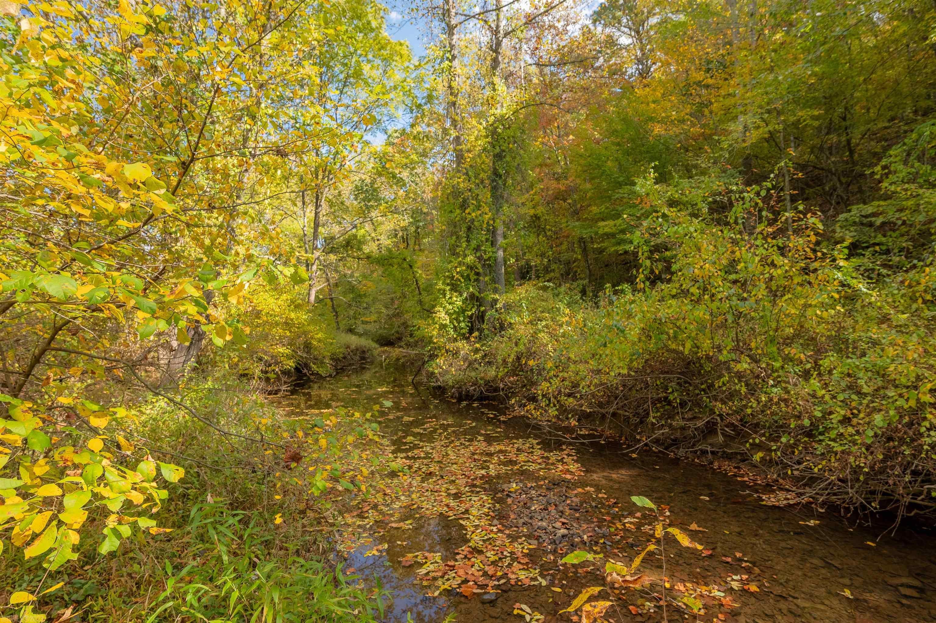 4765 Robinson Tract Road Pulaski, VA 24301 - Photo 66 of 77 Gallery Image 66