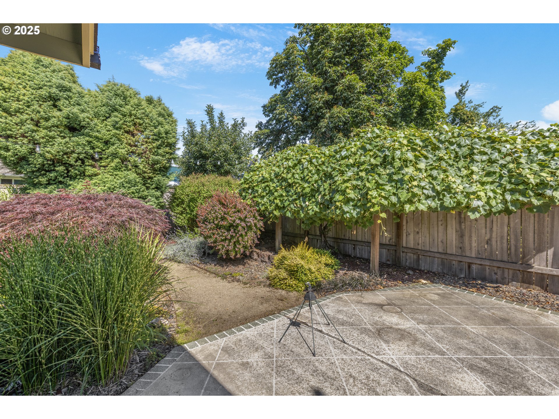 376 49th State Loop Springfield, OR 97478 - Photo 37 of 48 a backyard of a house with lots of green space