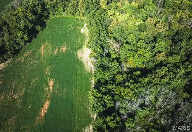 $552,000 | 1457 Cr1225, Huntsville, MO 65259