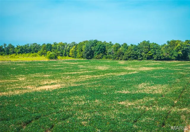 $552,000 | 1457 Cr1225, Huntsville, MO 65259