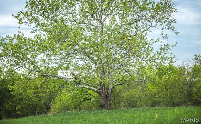 $552,000 | 1457 Cr1225, Huntsville, MO 65259