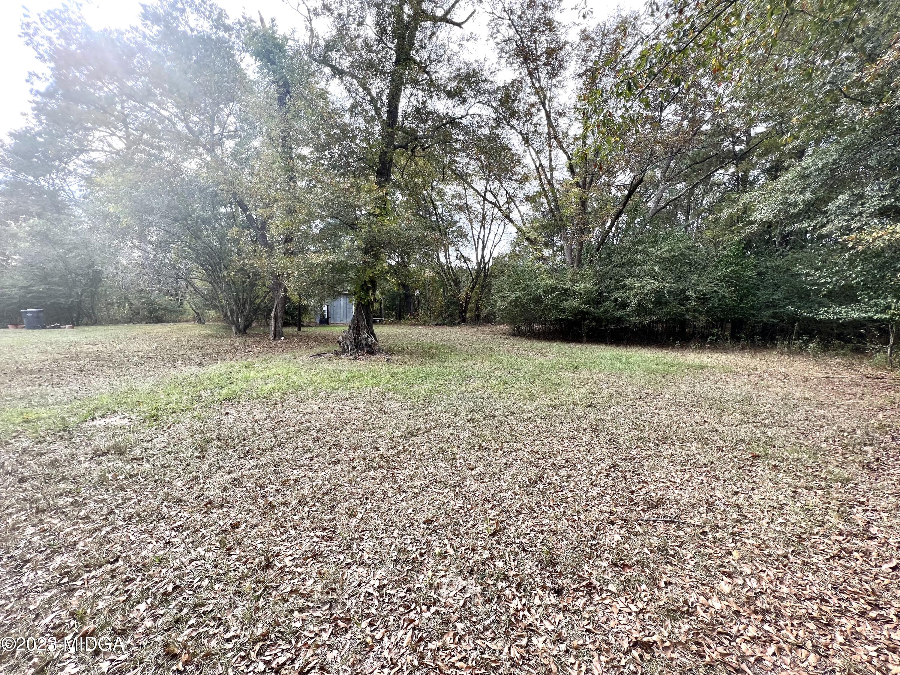 7615 Columbus Road Lizella, GA 31052 - Photo 52 of 56 a backyard of a house with lots of green space