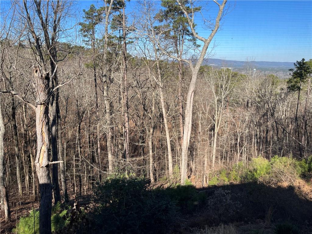 412 Mt Alto Road Southwest Rome, GA 30165 - Photo 23 of 29