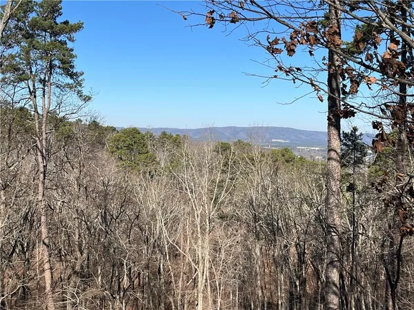 a view of a city with lots of trees