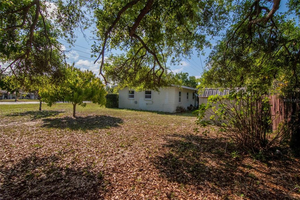 230 Milwaukee Avenue Dunedin, FL 34698 - Photo 42 of 61 a backyard of a house with lots of green space