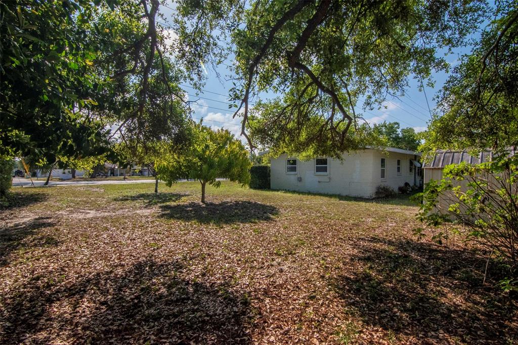 230 Milwaukee Avenue Dunedin, FL 34698 - Photo 43 of 61 a backyard of a house with lots of green space