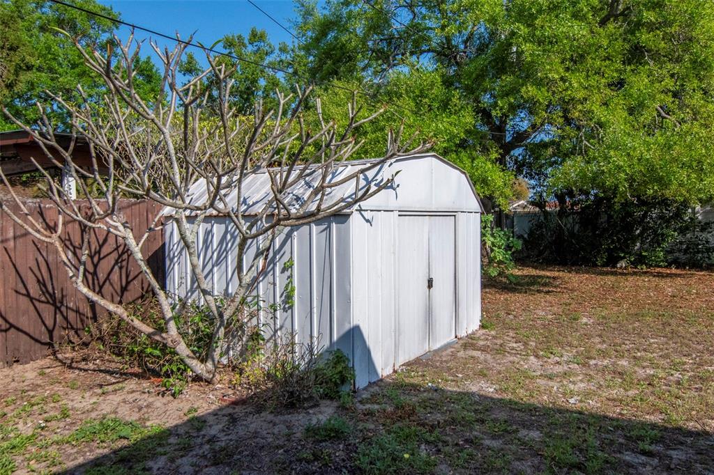 230 Milwaukee Avenue Dunedin, FL 34698 - Photo 45 of 61 a backyard of a house with lots of green space