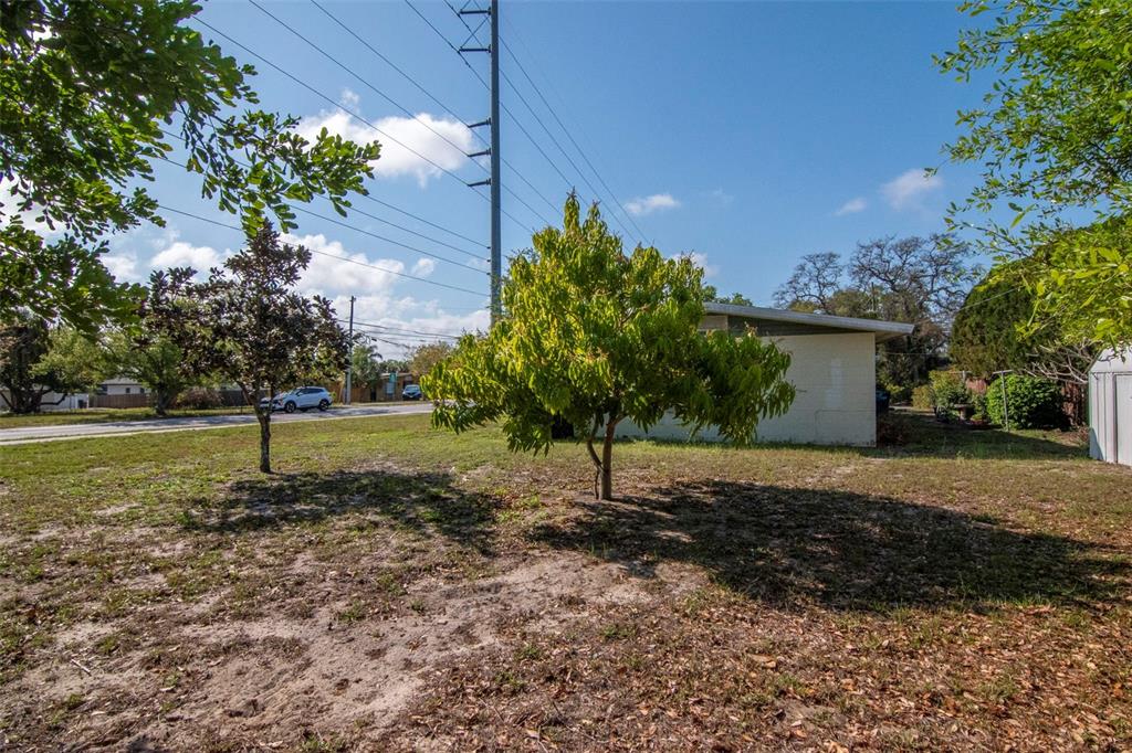 230 Milwaukee Avenue Dunedin, FL 34698 - Photo 46 of 61 a view of a house with a yard