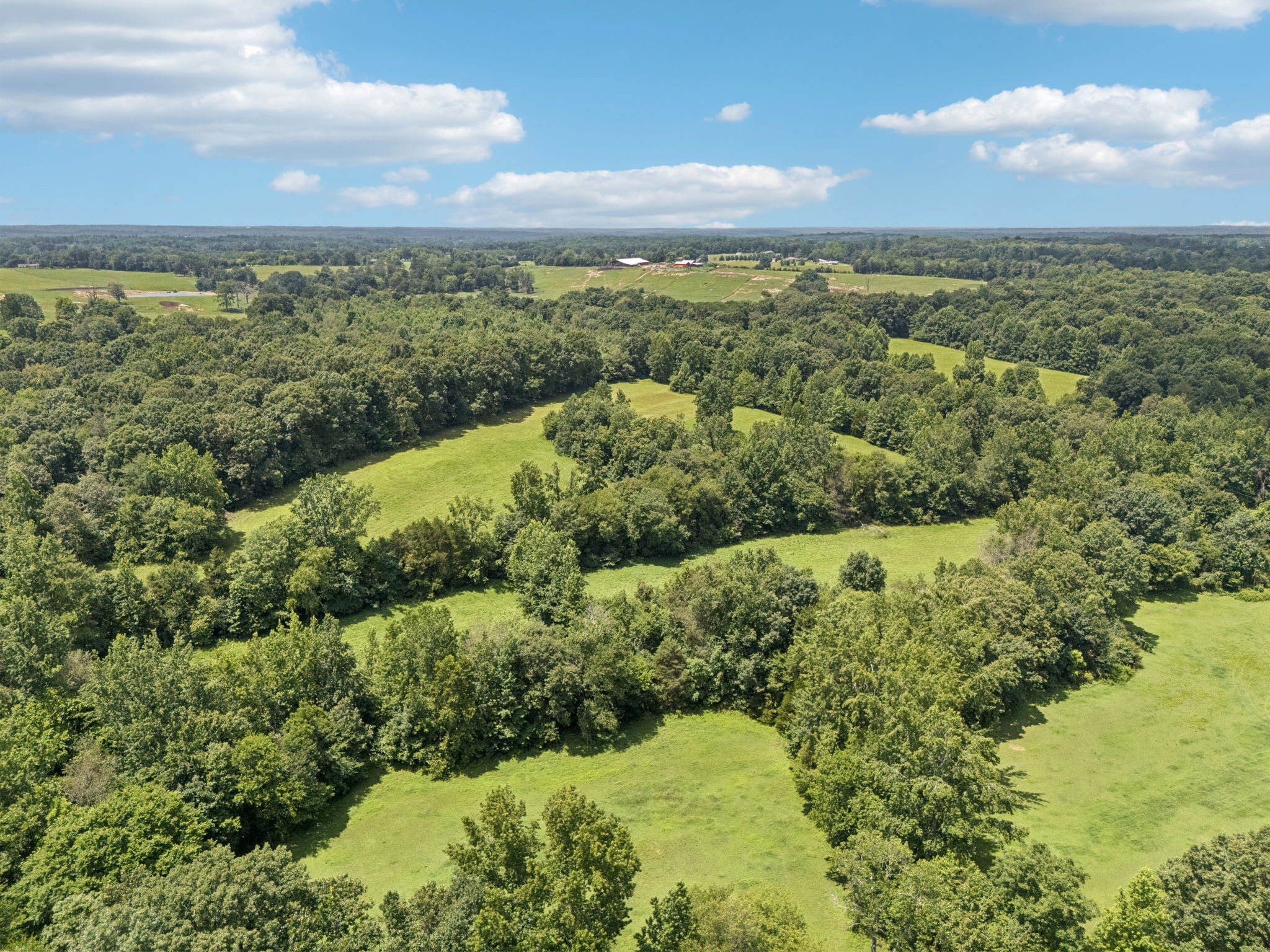 0 Deer Creek Road McEwen, TN 37101 - Photo 13 of 21