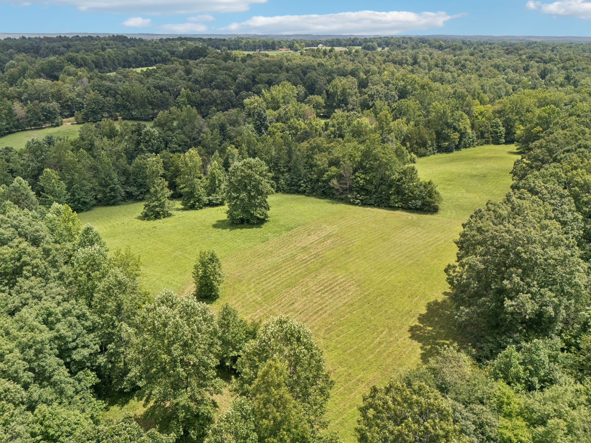 0 Deer Creek Road McEwen, TN 37101 - Photo 19 of 21