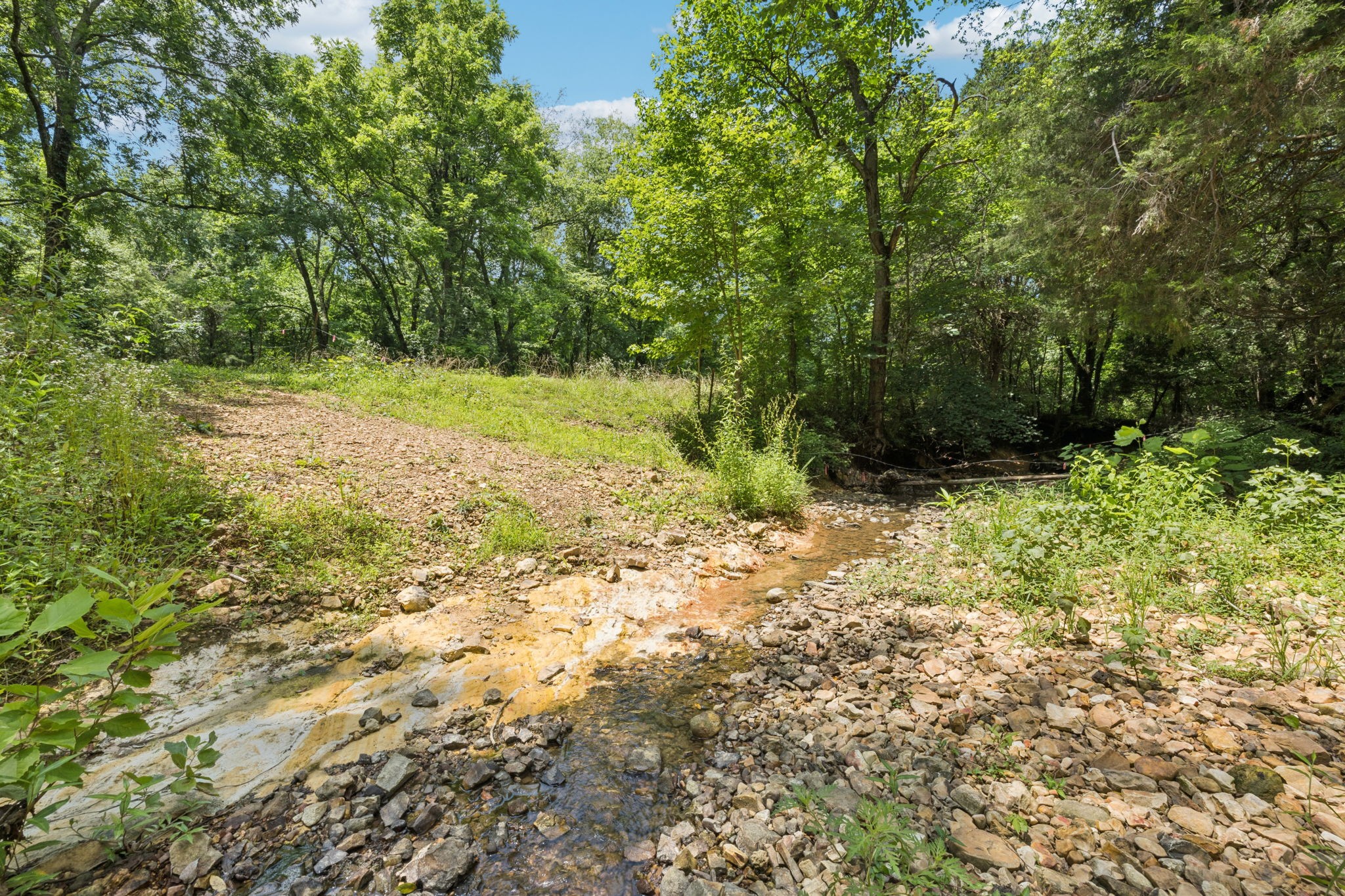 0 Deer Creek Road McEwen, TN 37101 - Photo 2 of 21
