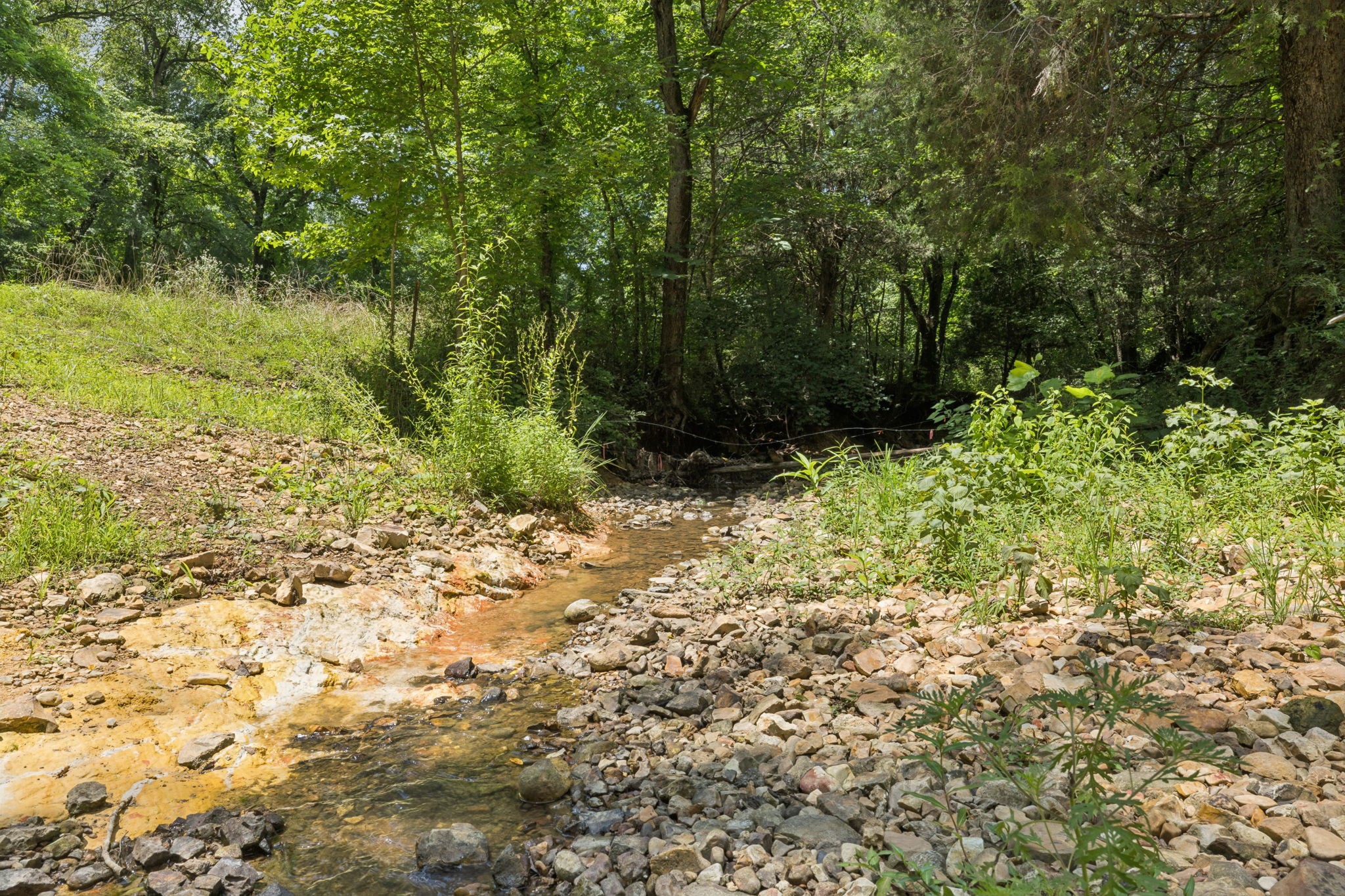 0 Deer Creek Road McEwen, TN 37101 - Photo 3 of 21