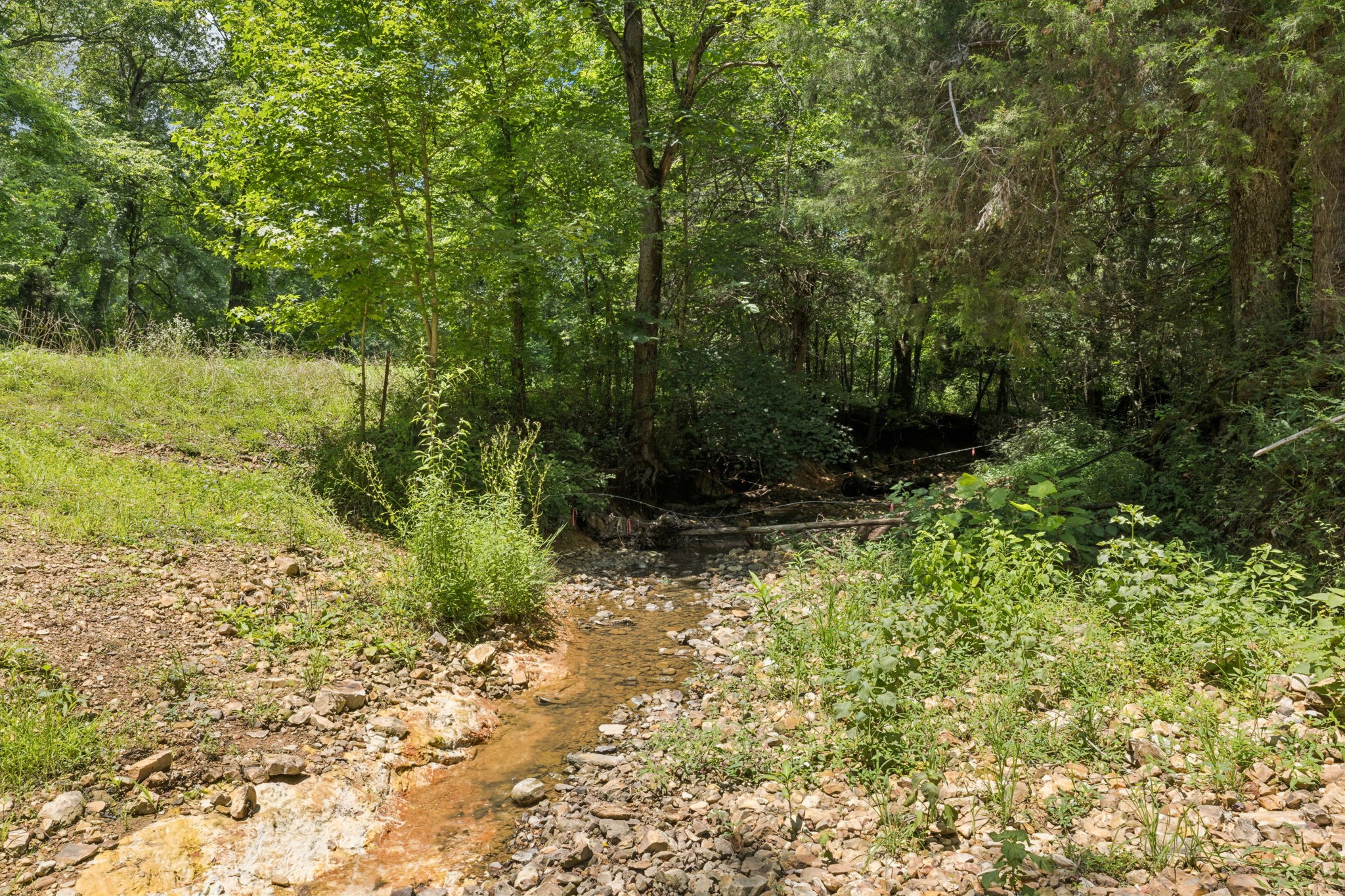 0 Deer Creek Road McEwen, TN 37101 - Photo 4 of 21