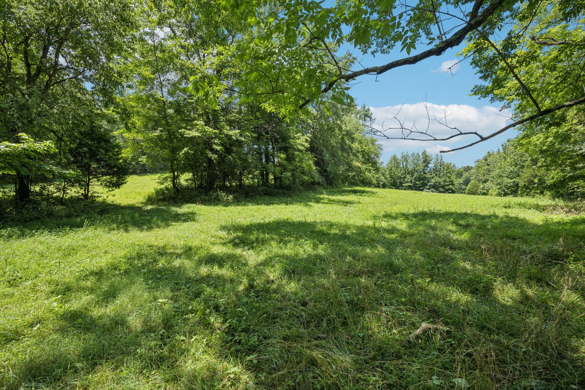 0 Deer Creek Road McEwen, TN 37101 - Photo 5 of 21