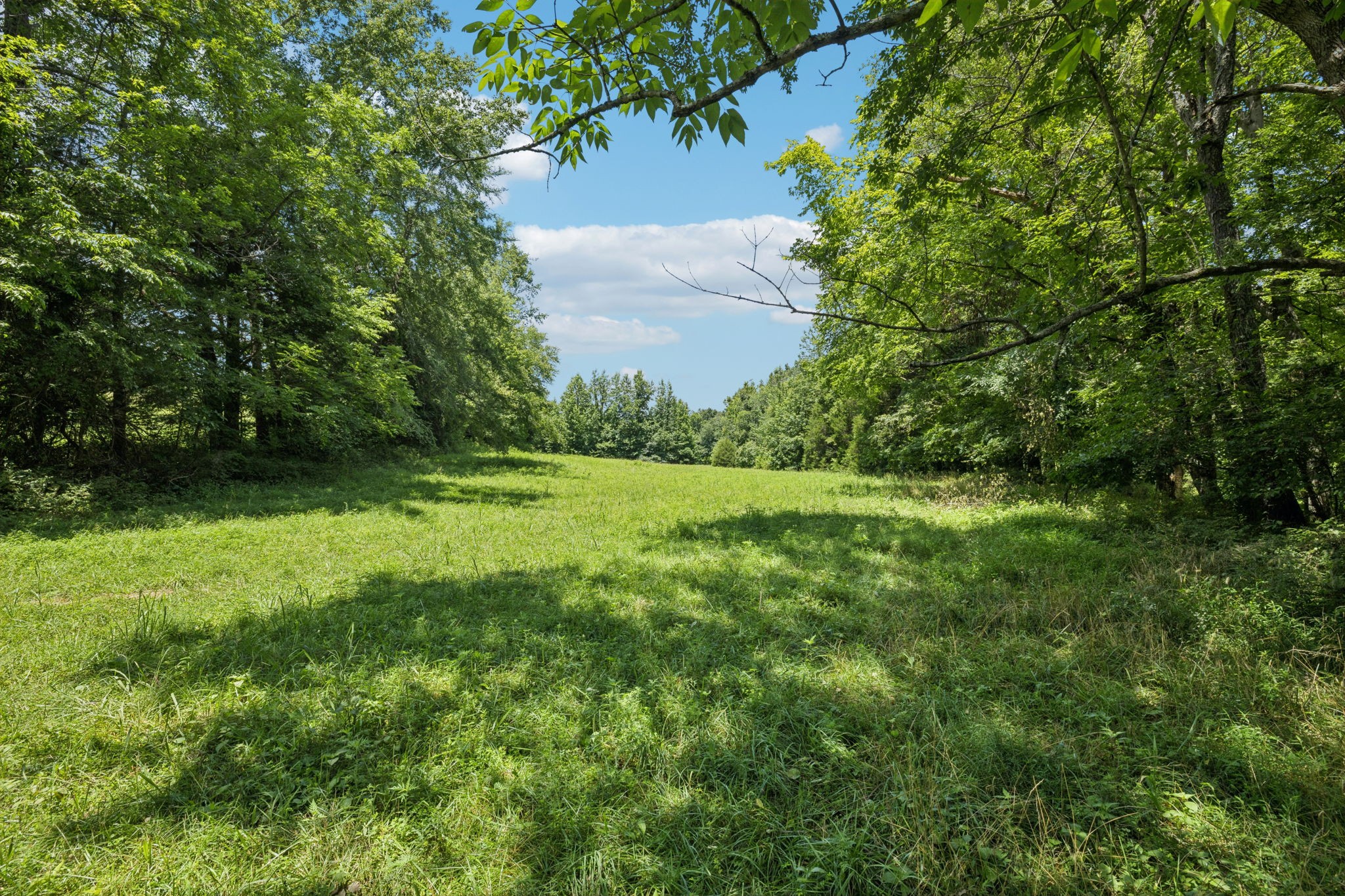 0 Deer Creek Road McEwen, TN 37101 - Photo 6 of 21